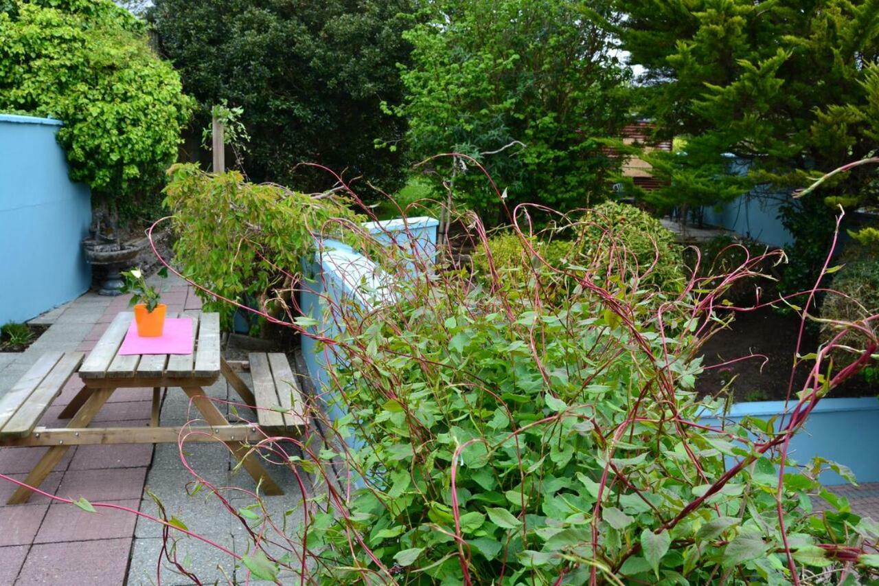 Dingle Townhouse Villa Dış mekan fotoğraf