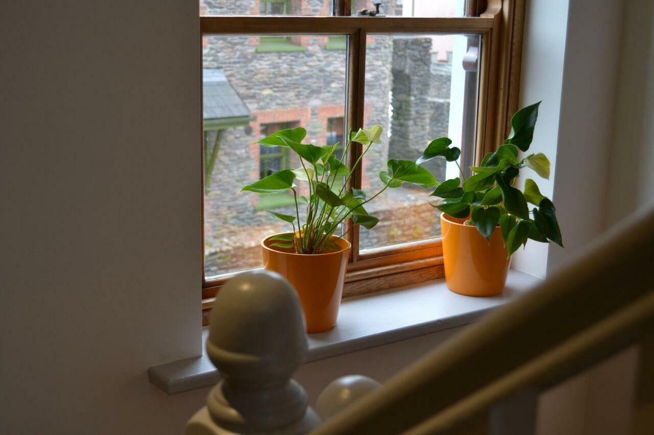 Dingle Townhouse Villa Dış mekan fotoğraf